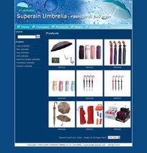 廈門澤迅設計 企業網站建設如何驅動業務增長——一個本地化服務商的實戰解析